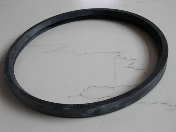 Grooved flange sealing ring图片6