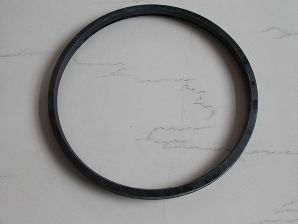 Grooved flange sealing ring图片8